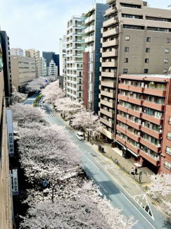 【展望】 | 2025年8月21日撮影