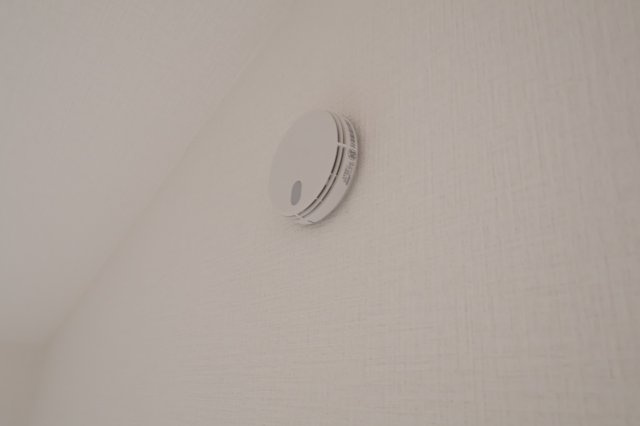 《仲介手数料無料》大宮区天沼町１丁目666-5(全1戸)新築一戸建てリガーレのその他|撮影日 2025年10月13日 15:30 晴れ