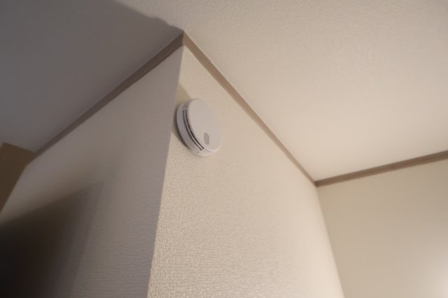 《仲介手数料無料》中央区新中里４丁目15(I号棟)新築一戸建てハートフルタウンの内装|撮影日 2025年10月25日 15:00 雨