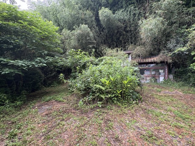 現況引き渡し　広大な宅地　宇都宮市上籠谷町の周辺