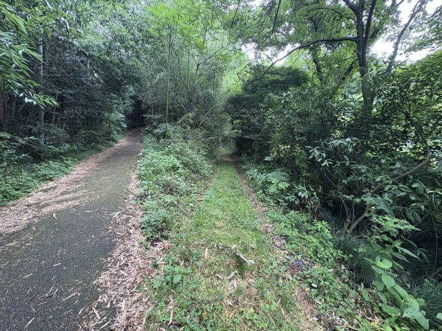 現況引き渡し　広大な宅地　宇都宮市上籠谷町の前面道路含む現地写真