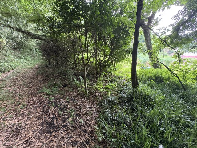 現況引き渡し　広大な宅地　宇都宮市上籠谷町の周辺