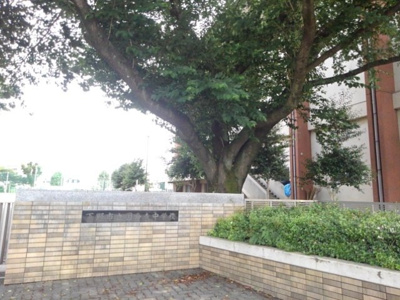 【周辺】 | Ｖｅｌｅｒｏ　Ｂ | 下野市立国分寺中学校まで550m
