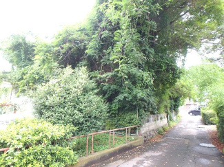 【前面道路含む現地写真】