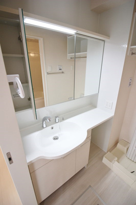 【独立洗面台】 | ブルームーンB（D-ROOM）