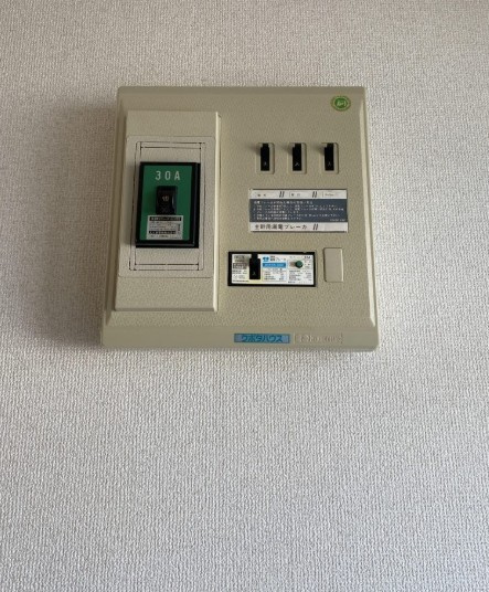 ブルーシャンBのその他