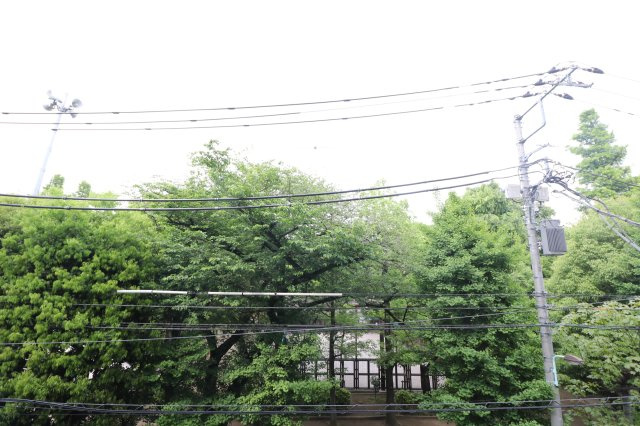 ※別部屋の写真です