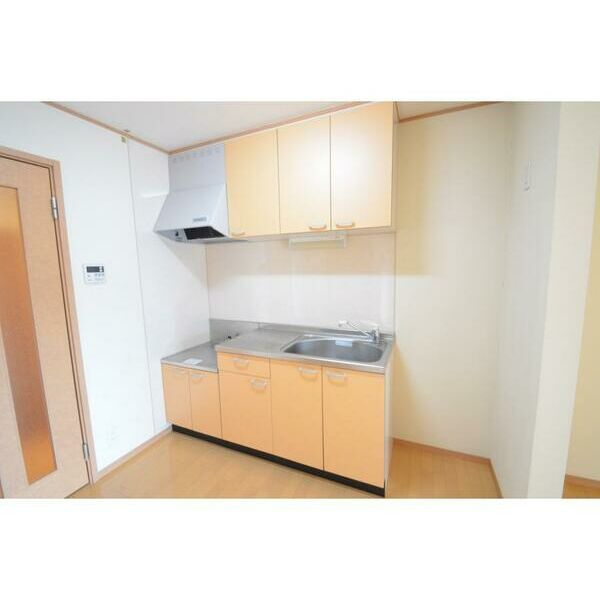 Sepia　Court　Fのキッチン