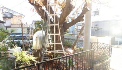 【展望】 | フローラ共和