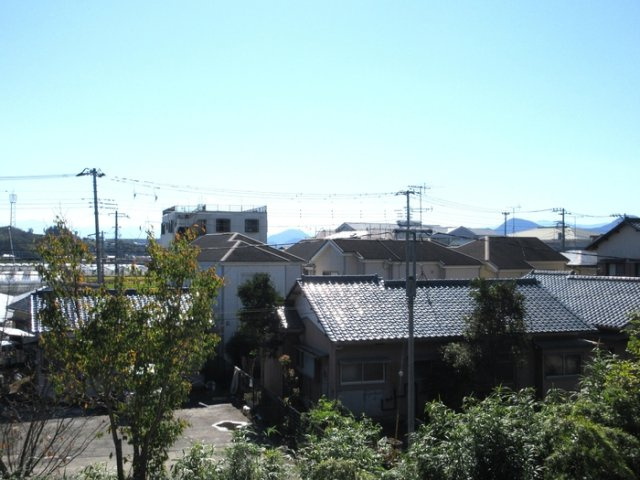 アドミラブール桜の展望