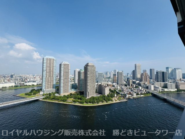 バルコニーからの眺望（南東方向）
隅田川を眼下に佃・月島の緑を楽しめます。