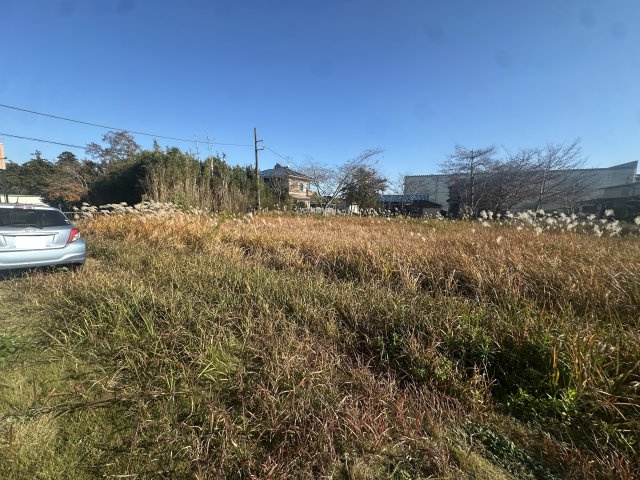 ケーズパレスⅠの周辺