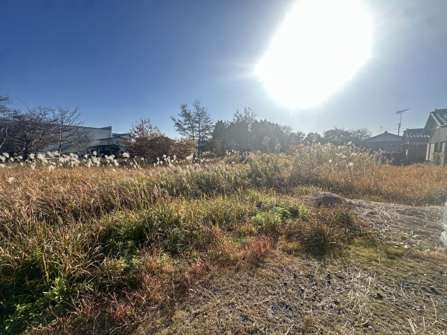 ケーズパレスⅠの周辺