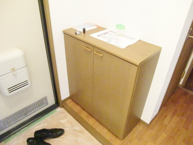 宝塚市安倉南４丁目の賃貸マンションの玄関|※同建物の類似写真になります。