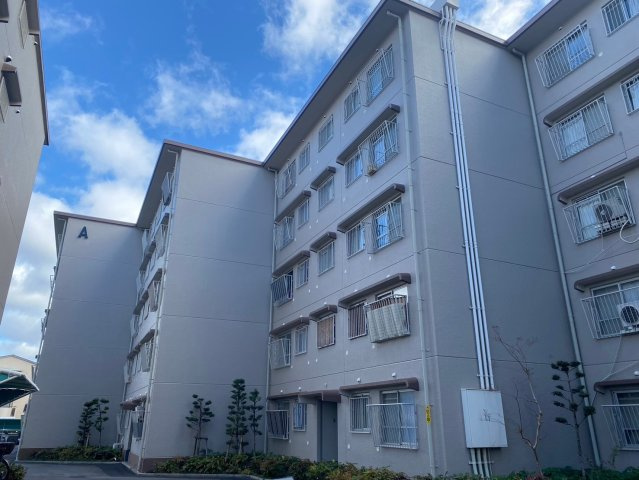 コープ野村伊丹昆陽Ａ棟の外観|現地をご案内いたします！物件のことはもちろん、教育施設・スーパー・商業施設・公園・公共機関といった周辺の住環境も車でご案内します。ぜひ現地で暮らしやすさなどイメージしてください！