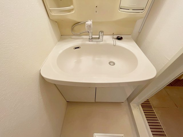 ラウルス宝塚の洗面所