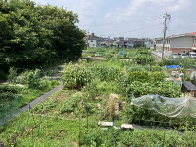 【展望】 | アイリスビレッジ