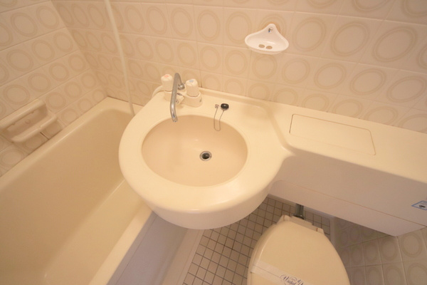 三条さやかビルの洗面所