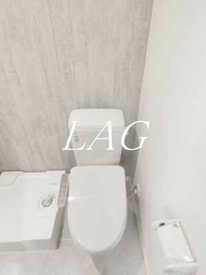 【トイレ】 | メゾン・ダルジャン西大宮 | トイレです。（同仕様です。）