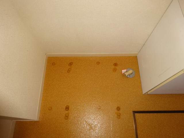 アメニティ寺前Ｂ棟の内装