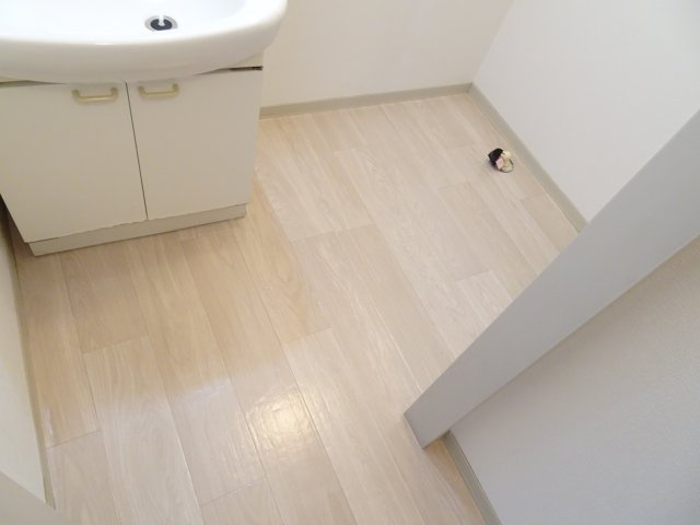 グリーンパークはやのB棟の洗面所