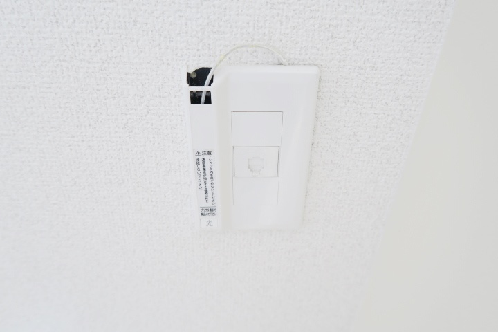 ドムスアルバのその他