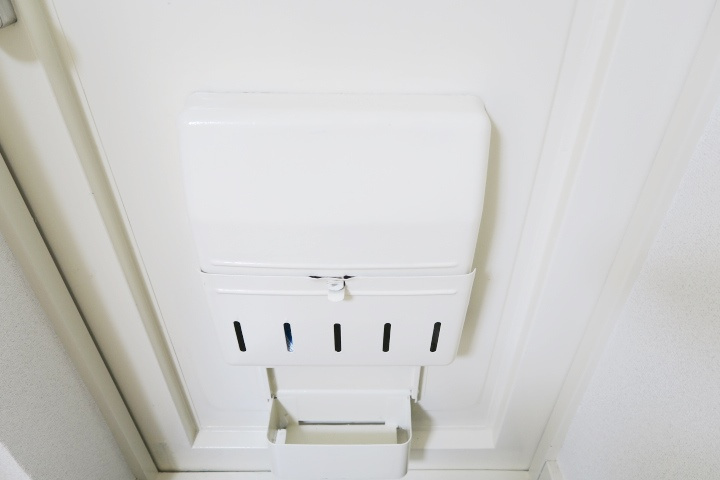 ドムスアルバのその他