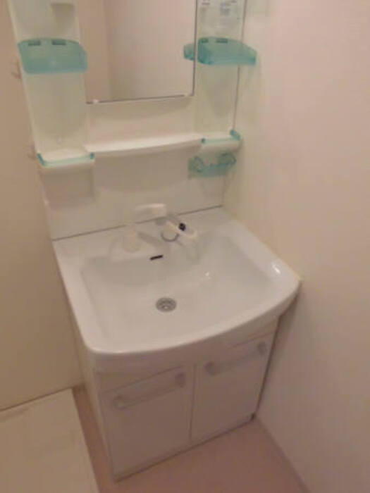 メイプルヒルズの洗面所