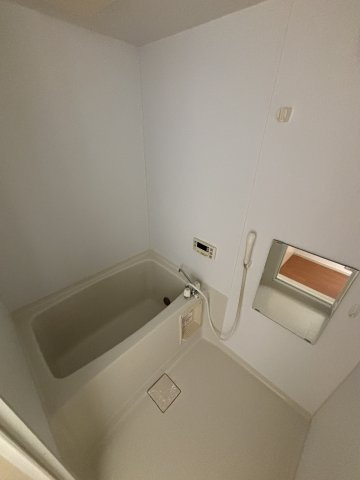 ダイワティアラ津田沼Ⅳの浴室