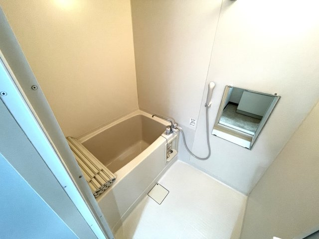 ハイデンス石川の浴室