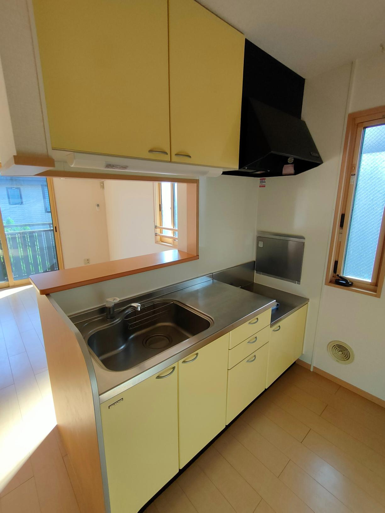 レオシェスタのキッチン