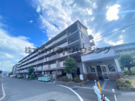 　プルミエール大西の画像