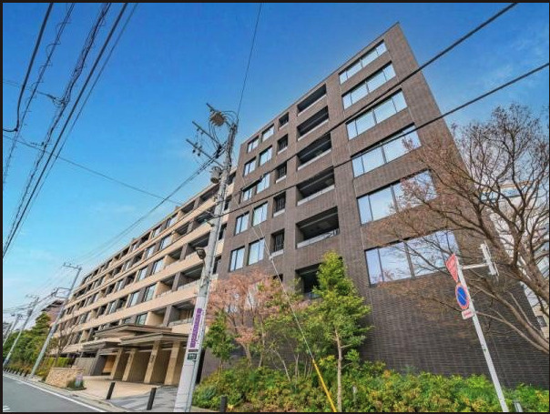 ★仲介手数料無料★ザ・パークハウスグラン南青山高樹町（明治から医療環境、大正から教育環境が整い始めた歴史ある地）の外観