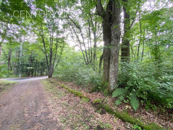 嬬恋村大字鎌原土地の前面道路含む現地写真