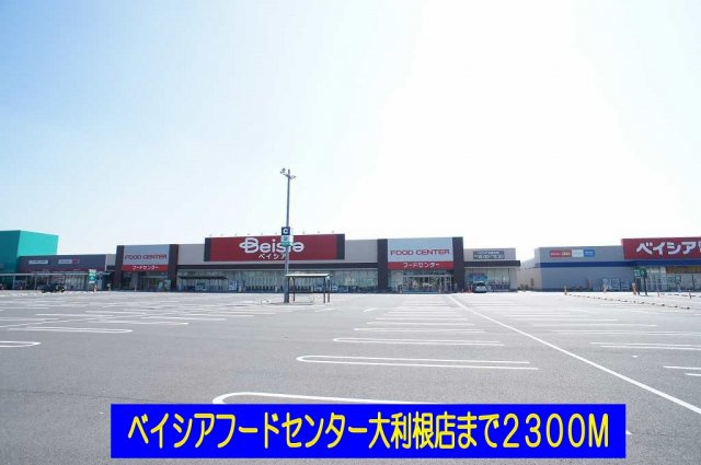 プレミールの周辺|ベイシアフードセンター大利根店まで2300m