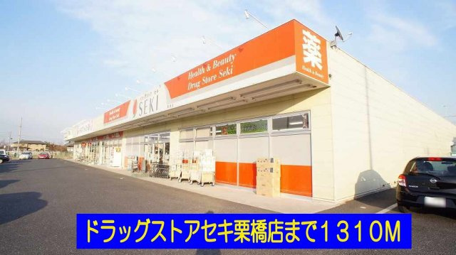 プレミールの周辺|ドラッグストアセキ栗橋店まで1310m