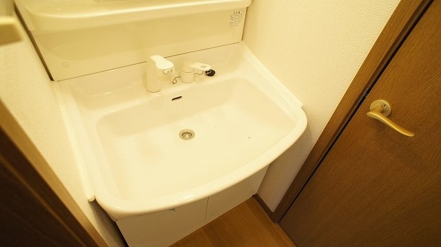 プレミールの洗面所