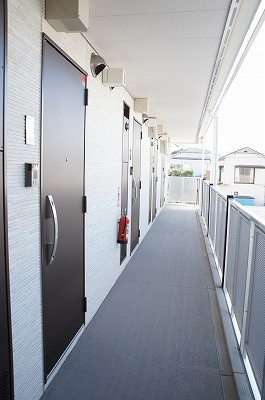 リブリ・ダロルのその他