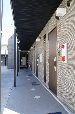 リブリ・ダロルのその他