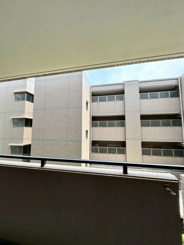 プリマヴェーラ（林田町）の展望