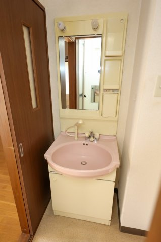 ラ・セゾン城北の洗面所|シャワー付き洗面台（同間取りの105号室のお写真です）