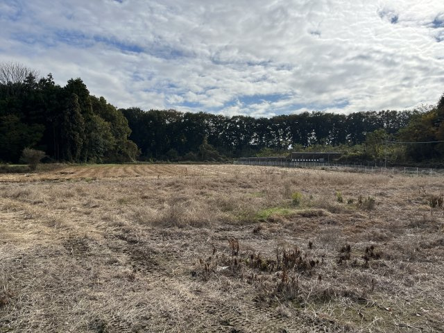 小山市北飯田の外観|山林は南側一部分です。