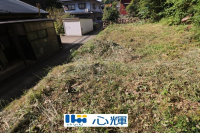 【外観】 | 西高泊・山林（720坪） | 撮影（2025年10月28日）