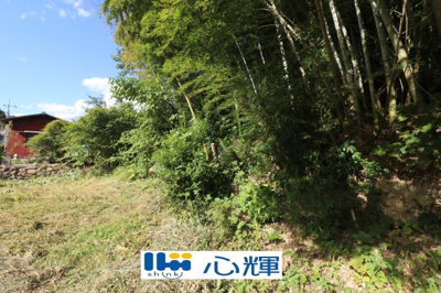 【外観】 | 西高泊・山林（720坪） | 撮影（2025年10月28日）