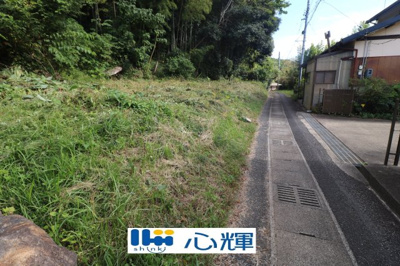 【外観】 | 西高泊・山林（720坪） | 撮影（2025年10月28日）