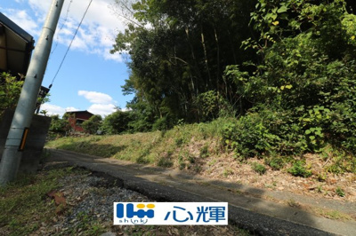 【外観】 | 西高泊・山林（720坪） | 撮影（2025年10月28日）