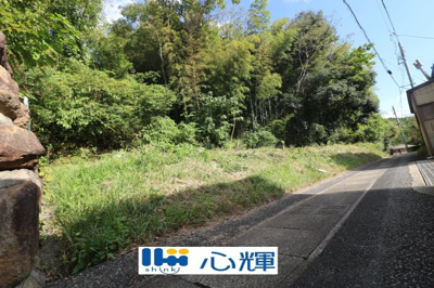 【外観】 | 西高泊・山林（720坪） | 撮影（2025年10月28日）