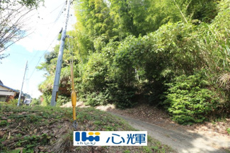 【外観】 | 西高泊・山林（720坪） | 撮影（2025年10月28日）