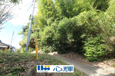 【外観】 | 西高泊・山林（720坪） | 撮影（2025年10月28日）