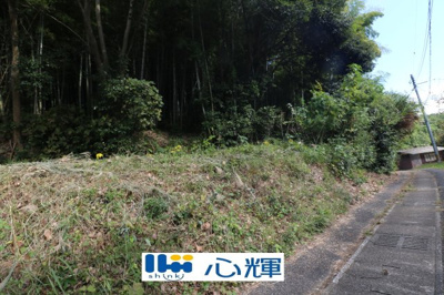 【外観】 | 西高泊・山林（720坪） | 撮影（2025年10月28日）